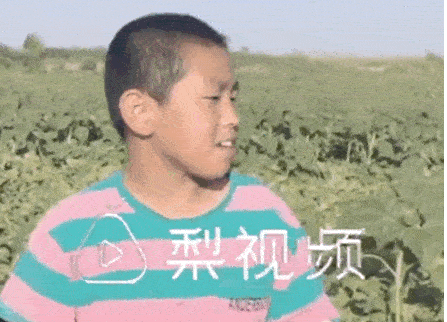 這位11歲男孩的暑假生活，被網(wǎng)友狂贊