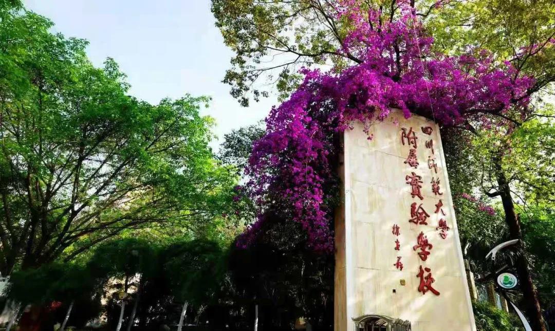 又一所官宣升級！成都一貫制學(xué)校有哪些了？